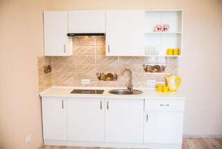 Апартаменты Lviv handmade apartment Львов Апартаменты с 2 спальнями-14